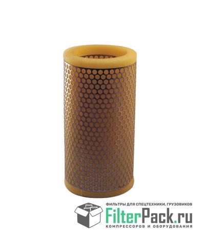 Filtron AG248/1 Фильтр воздушный